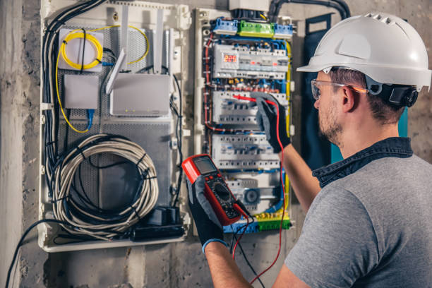 Best Electrical System Inspection  in Manistique, MI