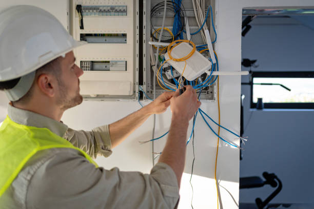 Best Electrical System Inspection  in Manistique, MI