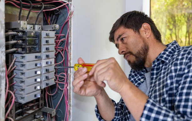 Best Electric Panel Repair  in Manistique, MI